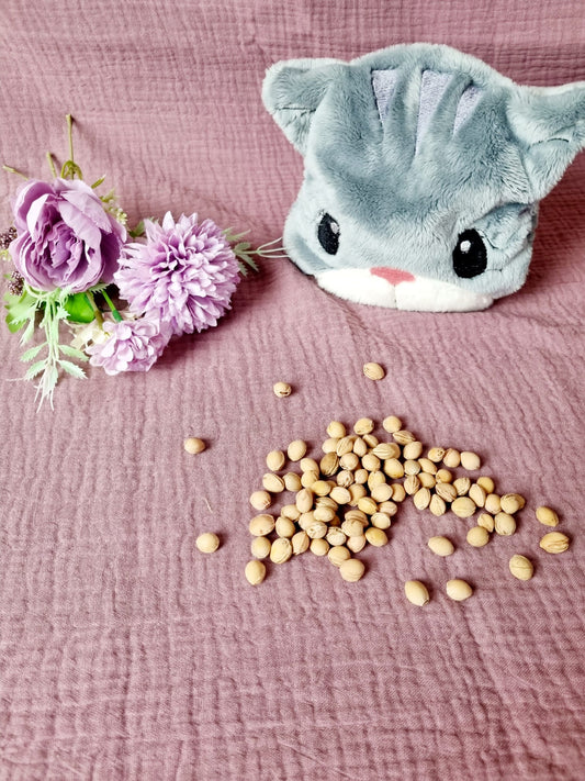 Kirschkernkissen Katze